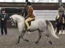 Image 26 in BRITISH SKEWBALD AND PIEBALD ASS'N NEW YEAR SHOWING SHOW. 9. JAN 2016.  RIDDEN CLASSES