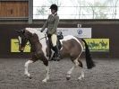 Image 28 in BRITISH SKEWBALD AND PIEBALD ASS'N NEW YEAR SHOWING SHOW. 9. JAN 2016.  RIDDEN CLASSES