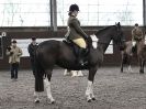 Image 29 in BRITISH SKEWBALD AND PIEBALD ASS'N NEW YEAR SHOWING SHOW. 9. JAN 2016.  RIDDEN CLASSES