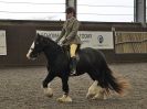 Image 30 in BRITISH SKEWBALD AND PIEBALD ASS'N NEW YEAR SHOWING SHOW. 9. JAN 2016.  RIDDEN CLASSES