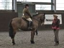 Image 31 in BRITISH SKEWBALD AND PIEBALD ASS'N NEW YEAR SHOWING SHOW. 9. JAN 2016. RIDDEN CLASSES