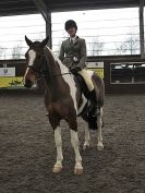 Image 34 in BRITISH SKEWBALD AND PIEBALD ASS'N NEW YEAR SHOWING SHOW. 9. JAN 2016.  RIDDEN CLASSES