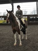 Image 34 in BRITISH SKEWBALD AND PIEBALD ASS'N NEW YEAR SHOWING SHOW. 9. JAN 2016. RIDDEN CLASSES