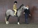 Image 37 in BRITISH SKEWBALD AND PIEBALD ASS'N NEW YEAR SHOWING SHOW. 9. JAN 2016. RIDDEN CLASSES