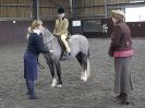 Image 38 in BRITISH SKEWBALD AND PIEBALD ASS'N NEW YEAR SHOWING SHOW. 9. JAN 2016.  RIDDEN CLASSES