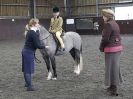 Image 38 in BRITISH SKEWBALD AND PIEBALD ASS'N NEW YEAR SHOWING SHOW. 9. JAN 2016. RIDDEN CLASSES