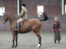 Image 4 in BRITISH SKEWBALD AND PIEBALD ASS'N NEW YEAR SHOWING SHOW. 9. JAN 2016.  RIDDEN CLASSES