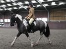 Image 42 in BRITISH SKEWBALD AND PIEBALD ASS'N NEW YEAR SHOWING SHOW. 9. JAN 2016. RIDDEN CLASSES