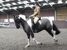 Image 45 in BRITISH SKEWBALD AND PIEBALD ASS'N NEW YEAR SHOWING SHOW. 9. JAN 2016. RIDDEN CLASSES