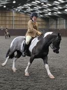 Image 48 in BRITISH SKEWBALD AND PIEBALD ASS'N NEW YEAR SHOWING SHOW. 9. JAN 2016.  RIDDEN CLASSES