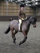 Image 49 in BRITISH SKEWBALD AND PIEBALD ASS'N NEW YEAR SHOWING SHOW. 9. JAN 2016. RIDDEN CLASSES