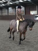 Image 50 in BRITISH SKEWBALD AND PIEBALD ASS'N NEW YEAR SHOWING SHOW. 9. JAN 2016. RIDDEN CLASSES