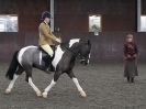 Image 52 in BRITISH SKEWBALD AND PIEBALD ASS'N NEW YEAR SHOWING SHOW. 9. JAN 2016. RIDDEN CLASSES