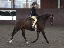 Image 53 in BRITISH SKEWBALD AND PIEBALD ASS'N NEW YEAR SHOWING SHOW. 9. JAN 2016.  RIDDEN CLASSES
