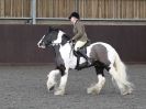 Image 56 in BRITISH SKEWBALD AND PIEBALD ASS'N NEW YEAR SHOWING SHOW. 9. JAN 2016.  RIDDEN CLASSES