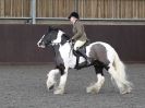 Image 56 in BRITISH SKEWBALD AND PIEBALD ASS'N NEW YEAR SHOWING SHOW. 9. JAN 2016. RIDDEN CLASSES