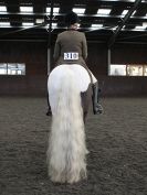 Image 57 in BRITISH SKEWBALD AND PIEBALD ASS'N NEW YEAR SHOWING SHOW. 9. JAN 2016. RIDDEN CLASSES