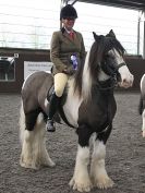 Image 59 in BRITISH SKEWBALD AND PIEBALD ASS'N NEW YEAR SHOWING SHOW. 9. JAN 2016.  RIDDEN CLASSES
