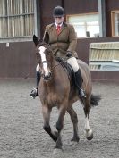 Image 6 in BRITISH SKEWBALD AND PIEBALD ASS'N NEW YEAR SHOWING SHOW. 9. JAN 2016.  RIDDEN CLASSES