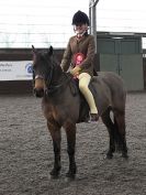 Image 62 in BRITISH SKEWBALD AND PIEBALD ASS'N NEW YEAR SHOWING SHOW. 9. JAN 2016.  RIDDEN CLASSES