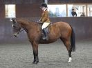 Image 64 in BRITISH SKEWBALD AND PIEBALD ASS'N NEW YEAR SHOWING SHOW. 9. JAN 2016.  RIDDEN CLASSES