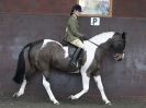 Image 67 in BRITISH SKEWBALD AND PIEBALD ASS'N NEW YEAR SHOWING SHOW. 9. JAN 2016.  RIDDEN CLASSES