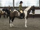 Image 69 in BRITISH SKEWBALD AND PIEBALD ASS'N NEW YEAR SHOWING SHOW. 9. JAN 2016.  RIDDEN CLASSES