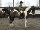 Image 69 in BRITISH SKEWBALD AND PIEBALD ASS'N NEW YEAR SHOWING SHOW. 9. JAN 2016. RIDDEN CLASSES