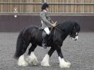 Image 7 in BRITISH SKEWBALD AND PIEBALD ASS'N NEW YEAR SHOWING SHOW. 9. JAN 2016.  RIDDEN CLASSES