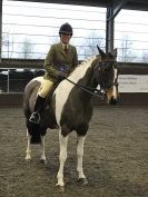 Image 73 in BRITISH SKEWBALD AND PIEBALD ASS'N NEW YEAR SHOWING SHOW. 9. JAN 2016.  RIDDEN CLASSES