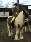 Image 74 in BRITISH SKEWBALD AND PIEBALD ASS'N NEW YEAR SHOWING SHOW. 9. JAN 2016.  RIDDEN CLASSES