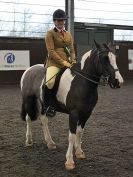 Image 75 in BRITISH SKEWBALD AND PIEBALD ASS'N NEW YEAR SHOWING SHOW. 9. JAN 2016.  RIDDEN CLASSES