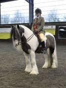 Image 77 in BRITISH SKEWBALD AND PIEBALD ASS'N NEW YEAR SHOWING SHOW. 9. JAN 2016.  RIDDEN CLASSES