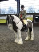 Image 77 in BRITISH SKEWBALD AND PIEBALD ASS'N NEW YEAR SHOWING SHOW. 9. JAN 2016. RIDDEN CLASSES