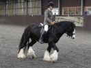 Image 8 in BRITISH SKEWBALD AND PIEBALD ASS'N NEW YEAR SHOWING SHOW. 9. JAN 2016.  RIDDEN CLASSES