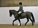 Image 10 in AREA 14 DRESSAGE QUALIFIERS AT BROADS EC.. 10 JAN. 2016