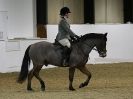 Image 11 in AREA 14 DRESSAGE QUALIFIERS AT BROADS EC.. 10 JAN. 2016