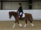 Image 114 in AREA 14 DRESSAGE QUALIFIERS AT BROADS EC.. 10 JAN. 2016