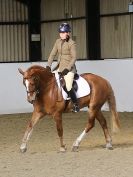 Image 149 in AREA 14 DRESSAGE QUALIFIERS AT BROADS EC.. 10 JAN. 2016