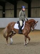 Image 150 in AREA 14 DRESSAGE QUALIFIERS AT BROADS EC.. 10 JAN. 2016