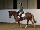 Image 151 in AREA 14 DRESSAGE QUALIFIERS AT BROADS EC.. 10 JAN. 2016