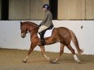 Image 153 in AREA 14 DRESSAGE QUALIFIERS AT BROADS EC.. 10 JAN. 2016