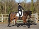 Image 159 in AREA 14 DRESSAGE QUALIFIERS AT BROADS EC.. 10 JAN. 2016