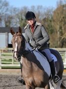 Image 163 in AREA 14 DRESSAGE QUALIFIERS AT BROADS EC.. 10 JAN. 2016