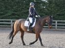 Image 164 in AREA 14 DRESSAGE QUALIFIERS AT BROADS EC.. 10 JAN. 2016