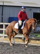 Image 167 in AREA 14 DRESSAGE QUALIFIERS AT BROADS EC.. 10 JAN. 2016