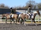 Image 172 in AREA 14 DRESSAGE QUALIFIERS AT BROADS EC.. 10 JAN. 2016