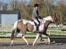 Image 173 in AREA 14 DRESSAGE QUALIFIERS AT BROADS EC.. 10 JAN. 2016