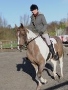 Image 175 in AREA 14 DRESSAGE QUALIFIERS AT BROADS EC.. 10 JAN. 2016