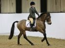 Image 43 in AREA 14 DRESSAGE QUALIFIERS AT BROADS EC.. 10 JAN. 2016